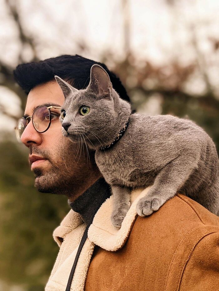 My Dreams Of Having A Shoulder Cat Have Come True