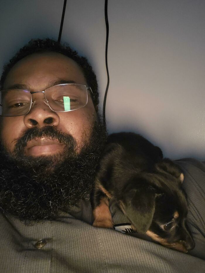 Does A Rottweiler Puppy Count