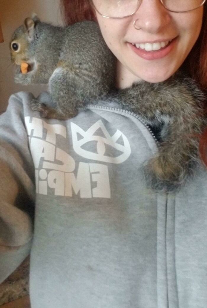 Do Shoulder Squirrels Count?