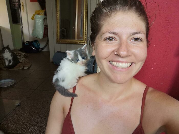 Shoulder Cat In Process