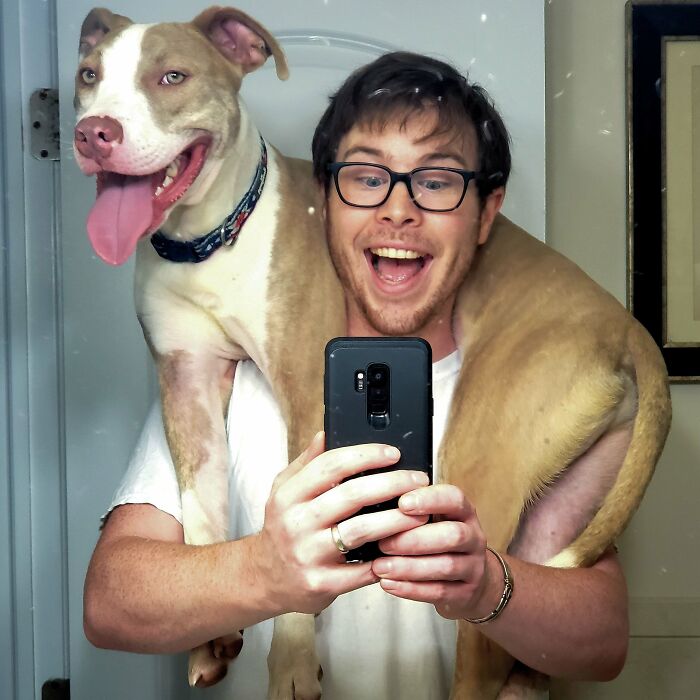 They're Good Scarfs Bront