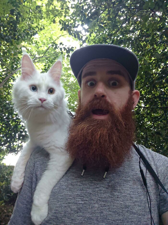 I See Your Shoulder Cat.....