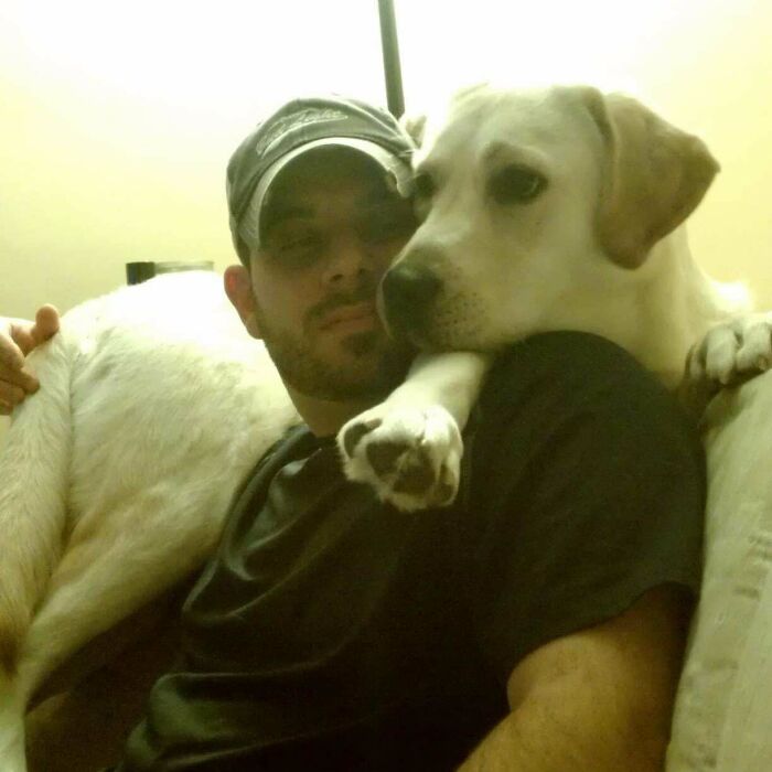 How About A Shoulder Dog Scared Of A Little Thunder?