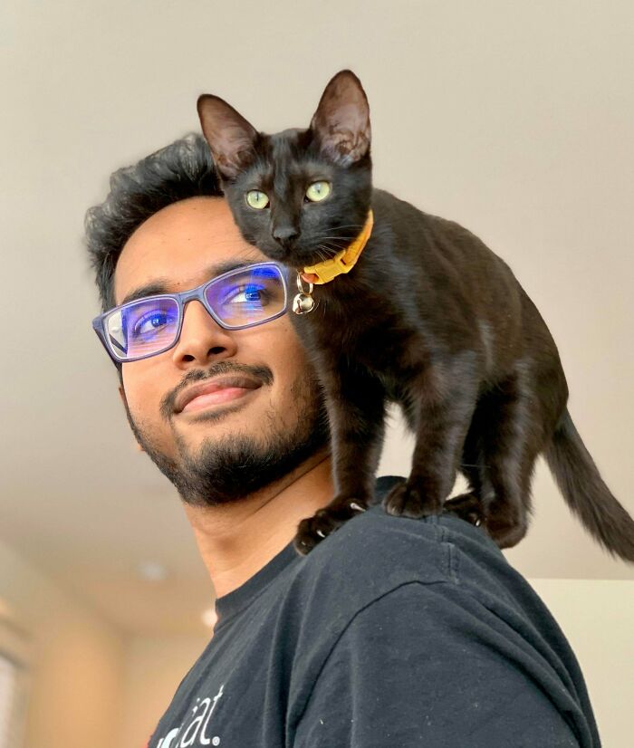 I Thought My Little Shoulder Protector Should Get A Turn Too!!