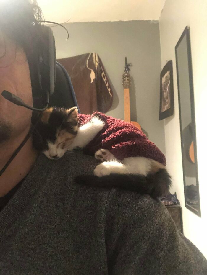 We Hope Is Not To Late