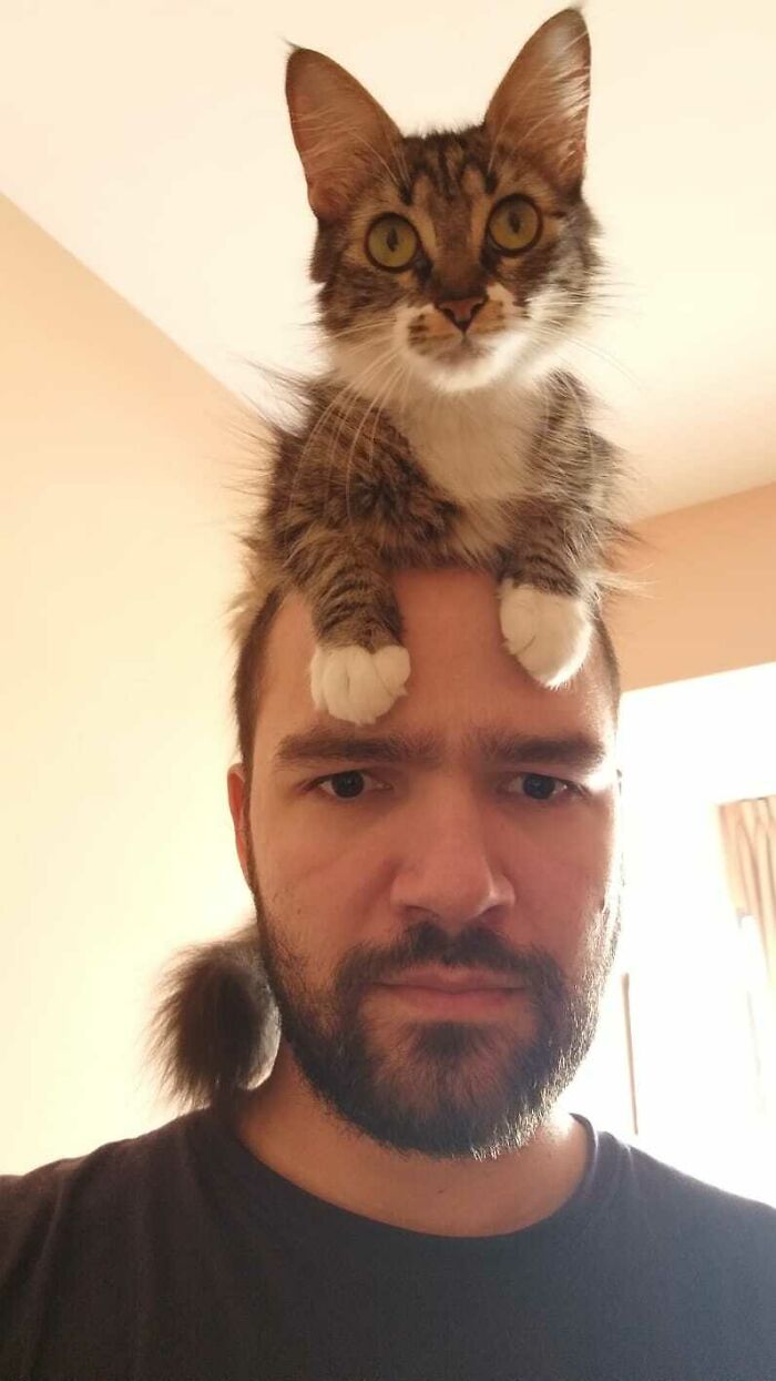 I Said Shoulder, But She Wouldn't Listen