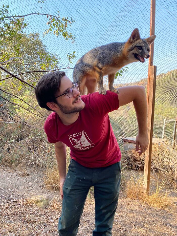 The Elusive Shoulder Fox!