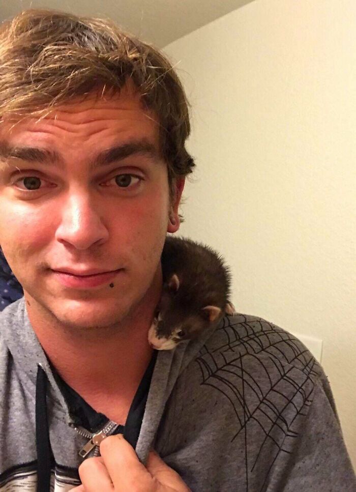 Does My Weird Fuzzy Snake Make The Cut?