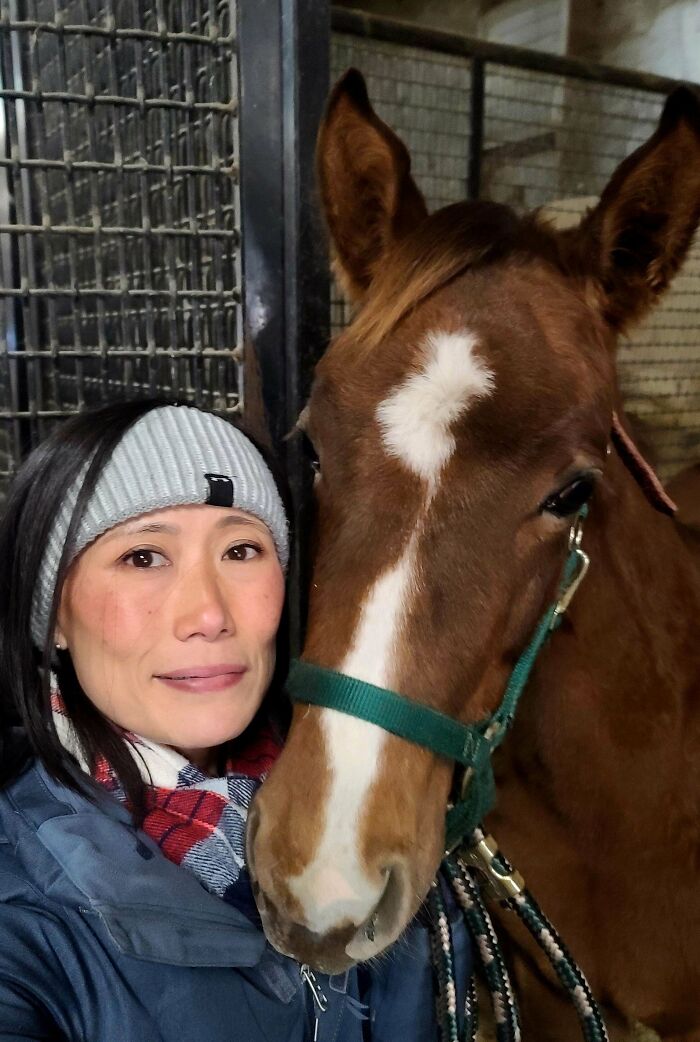 I Don't Have A Shoulder Cat, However, Here Is A Shoulder Horse