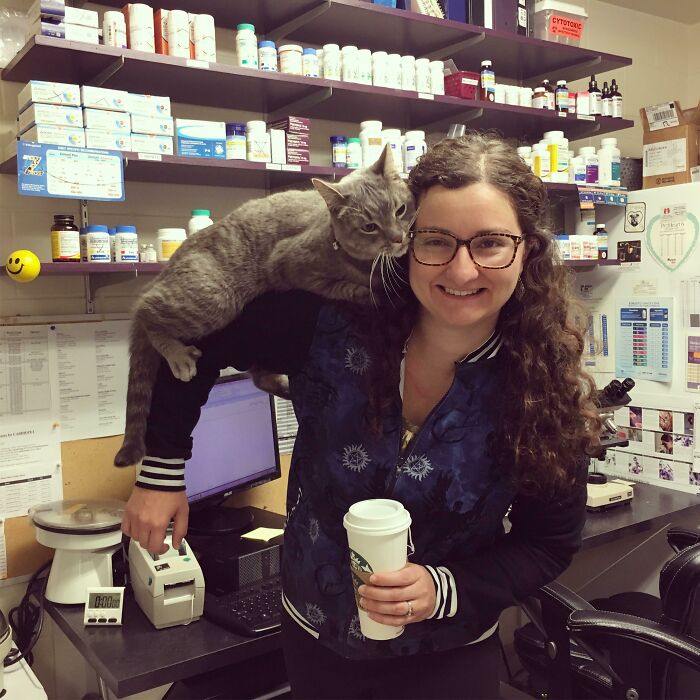My Shoulder Cat Gringo, He Lives At The Vet Clinic Where I Work (Vet) And Helps Keep Our Spirits Up!