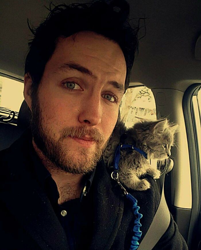 I Heard Shoulder Kittens Are Super In Right Now