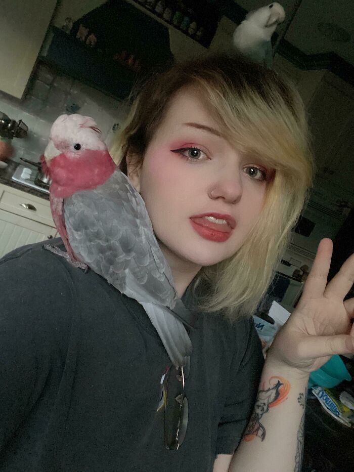 Is It Okay If One Rides On My Shoulder While The Other Rides On My Head?