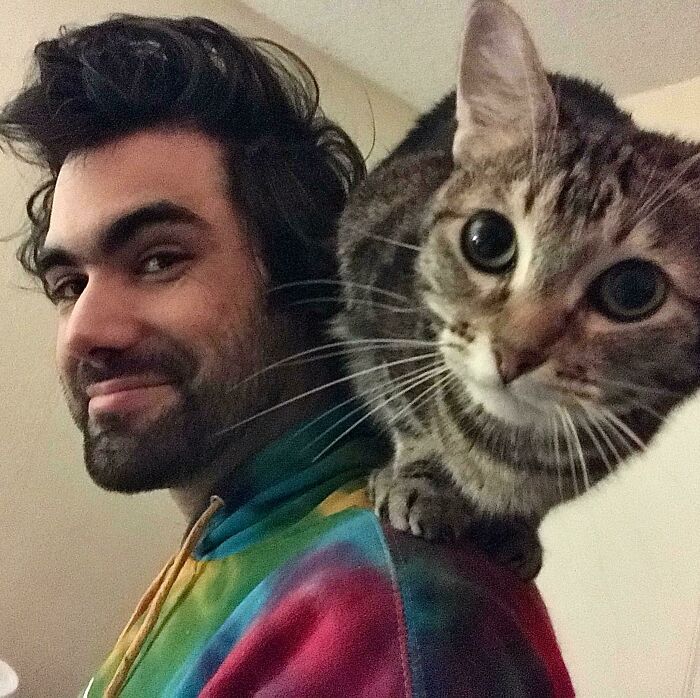 After 4 Years Mary Finally Decided It Was Time To Become A Shoulder Kitty