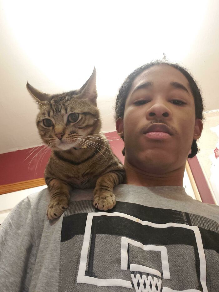 I Heard We Were Posting Our Animals That Love Shoulders