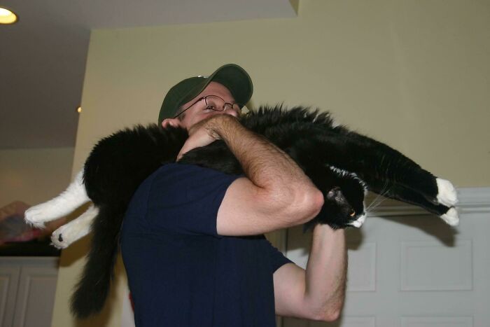 Super Shoulder Kitty