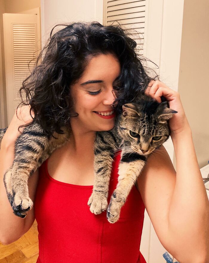 Scarf Cat Is Having A Great Time, I Swear