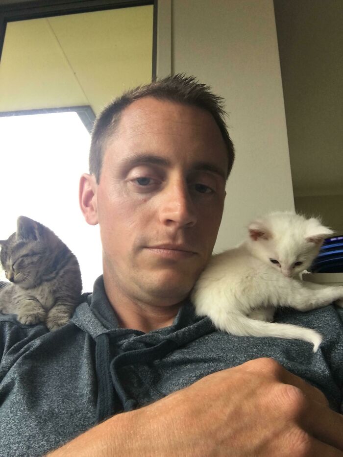 I See Your Shoulder Cats, And Raise You Two