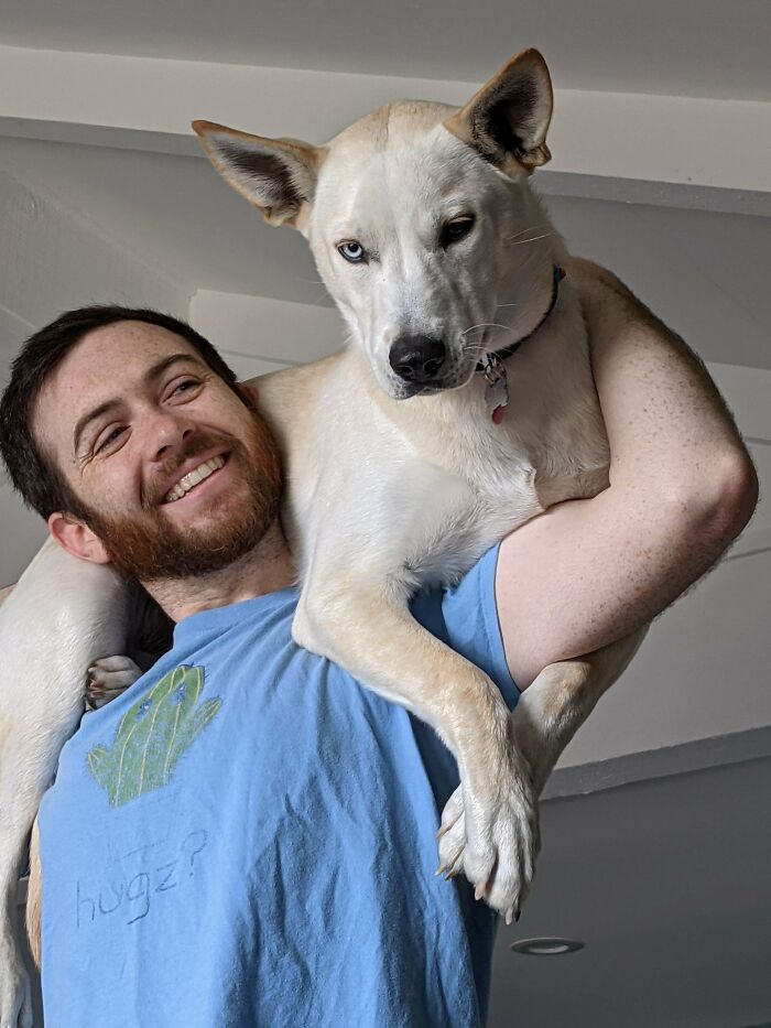 Are We Too Late For A 60lb Shoulder Dog?
