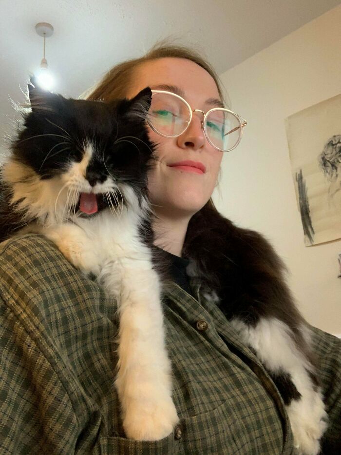 For Your Shoulder Cat Consideration, This Is Old Man Wilson