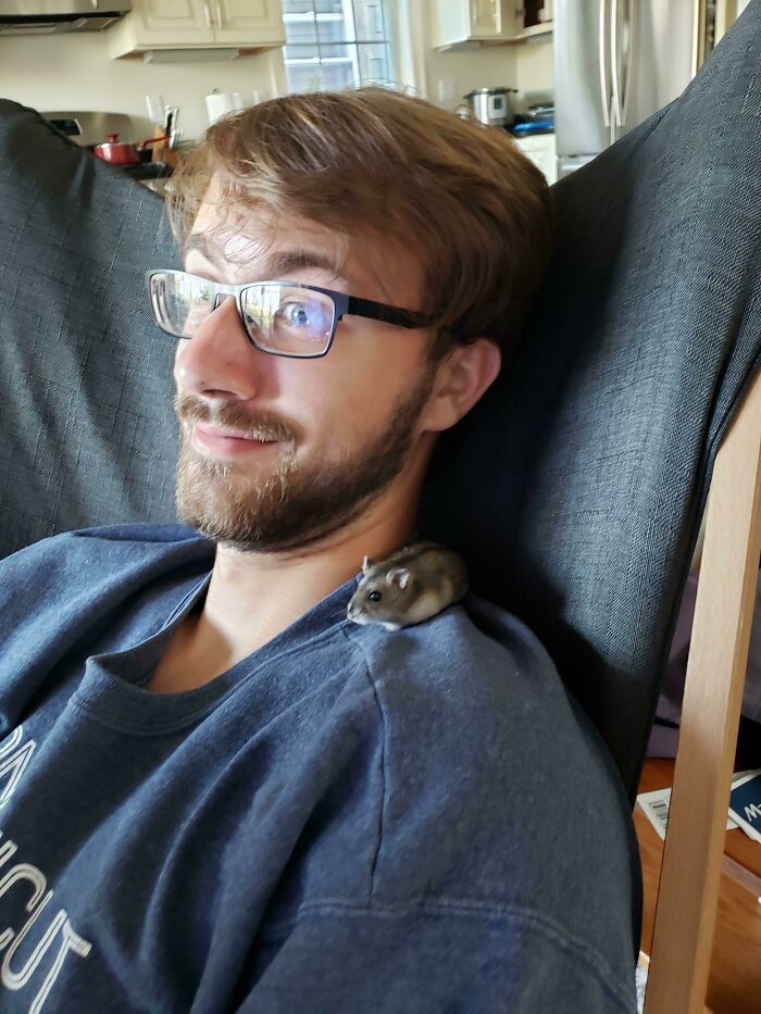 Ok But What About A Shoulder Hamster