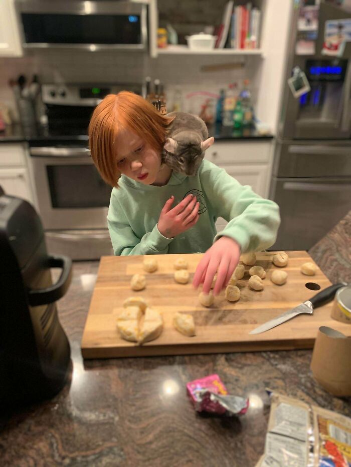 Do Chinchillas Count Too?