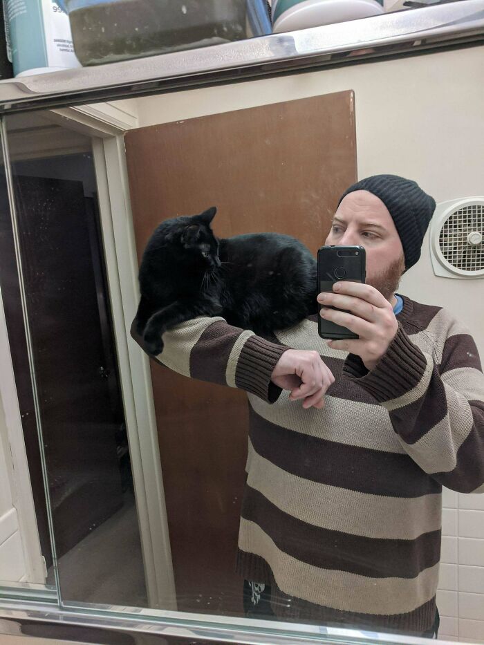 Too Lazy To Be A Shoulder Cat