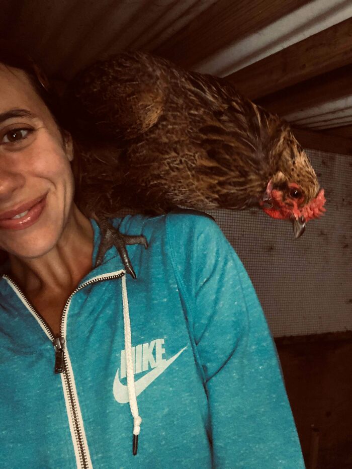 Peggy Sue Said She’s Sorry She’s Late To The Party