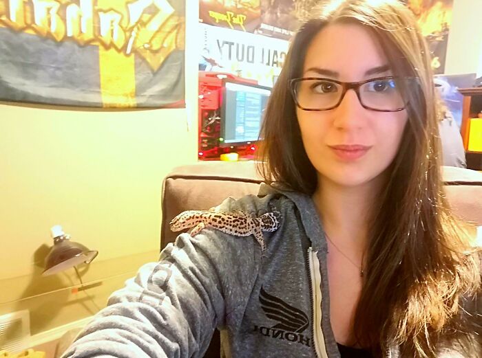 Does A Leopard Gecko On My Shoulder Count?