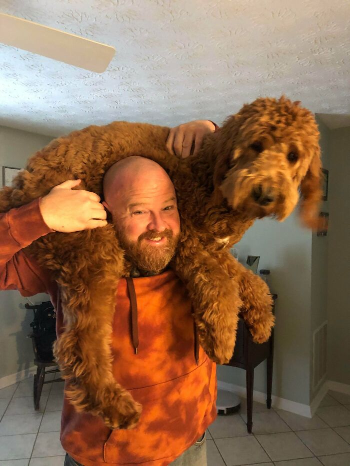 How About A Shoulder Doodle?