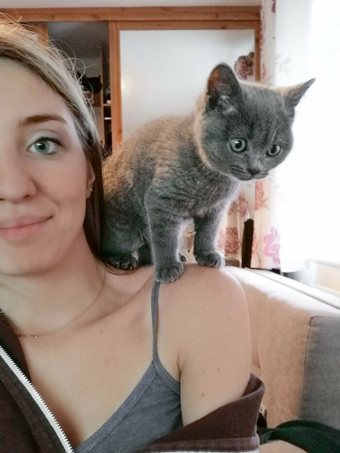 Are We Too Late To Join The Party?