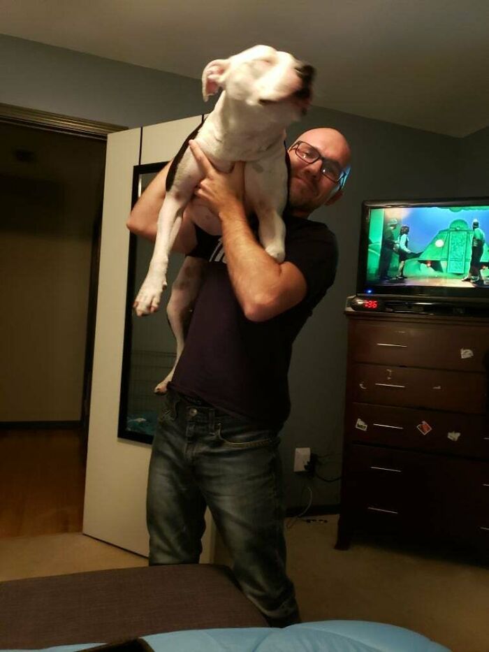 One Heavy Pit Unsure Of Why She's On My Shoulder, Checking In