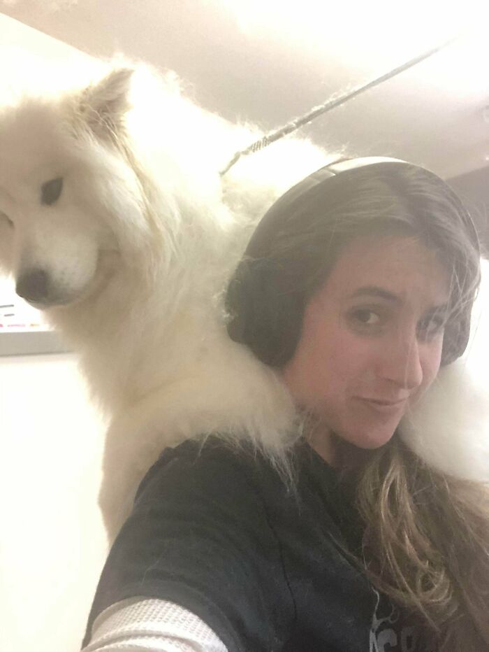 Are We Still Doing Shoulder Animals?