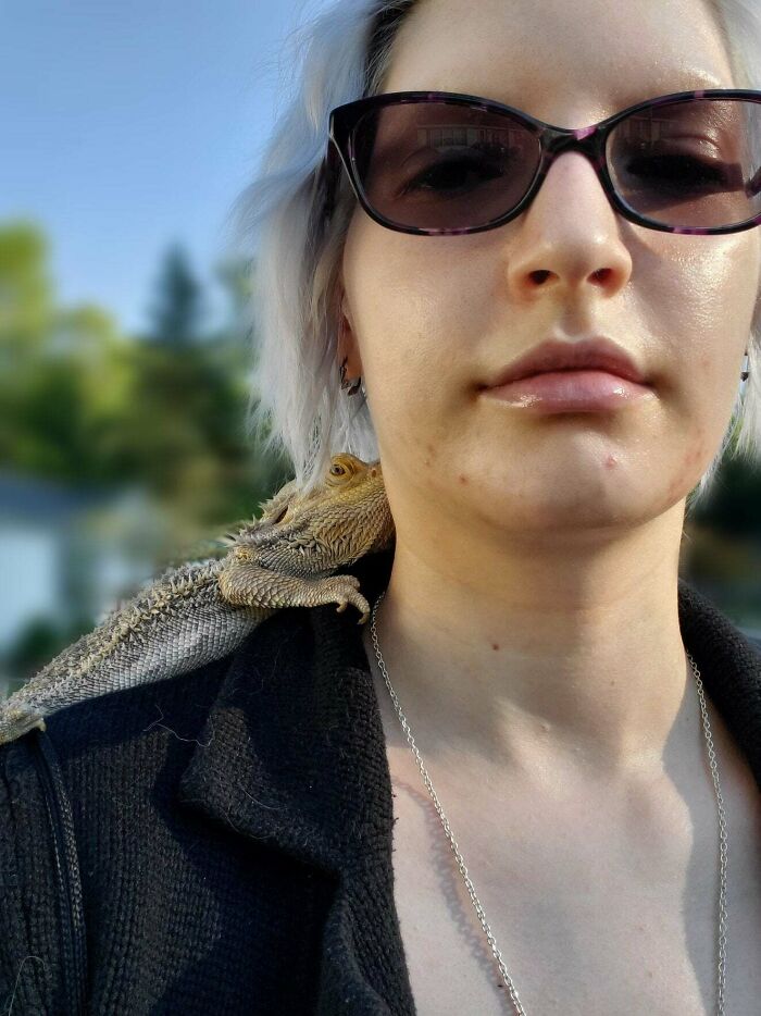 I See Your Shoulder Cats, Your Turkeys, Your Gerbils... I Raise You A Dragon