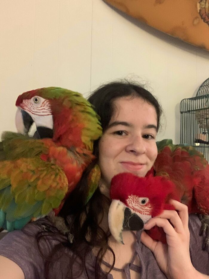 They May Not Be Cats, But They’re Still Good Shoulder Boys! Happy International Bird Day!