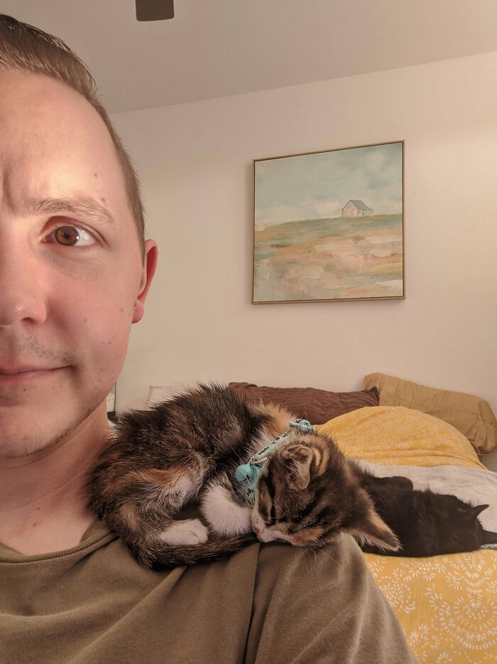 The Best Thing About Fostering Is Getting To Experience Cats With Wildly Different Personalities Like Our New Shoulder Cat Cleo!