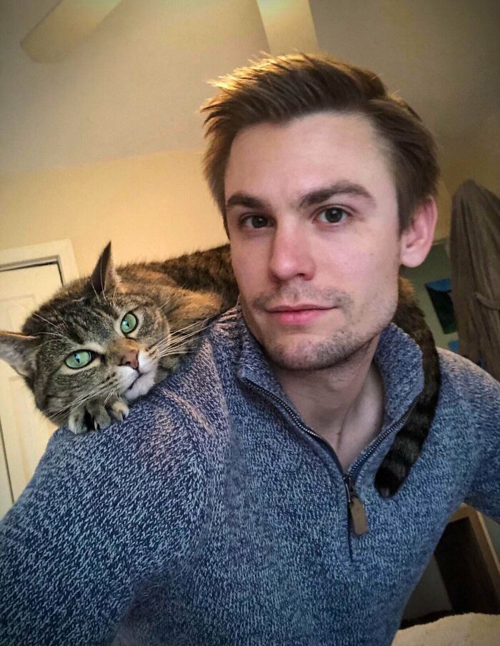 My Shoulder Cat