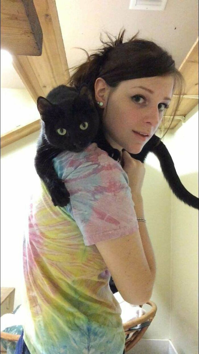 Meet Blue, The Shoulder Cat. He Had To Have All His Teeth Removed Except For His Canines. He's Pretty Swell