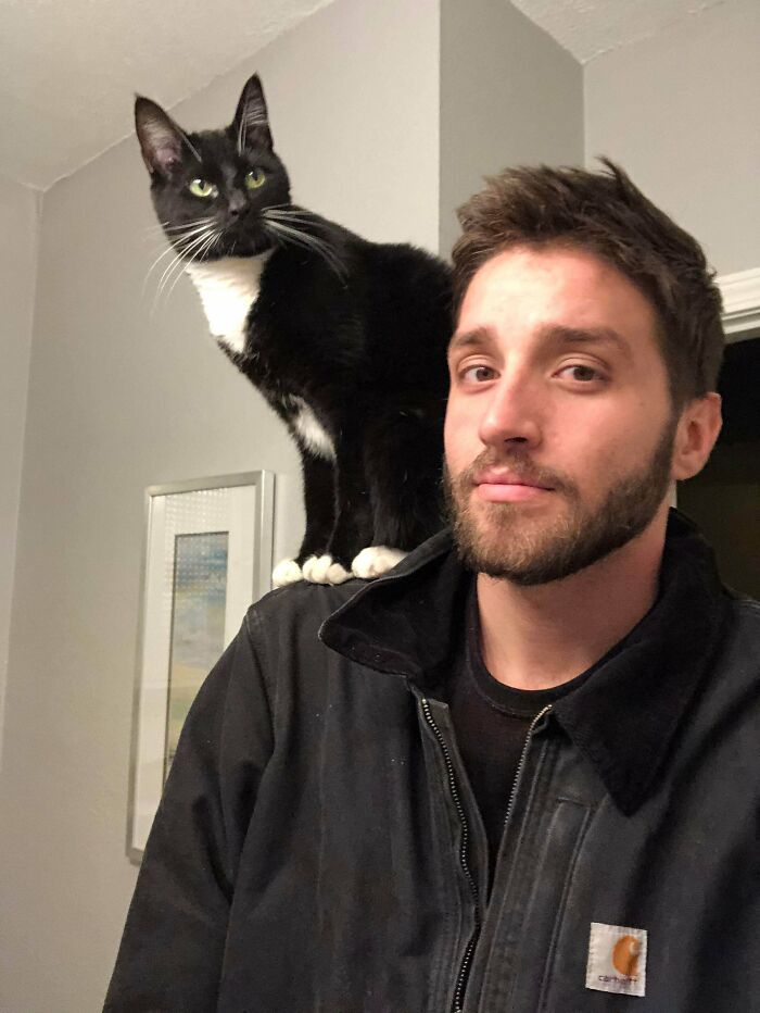 Everyone Should Have A Shoulder Cat.