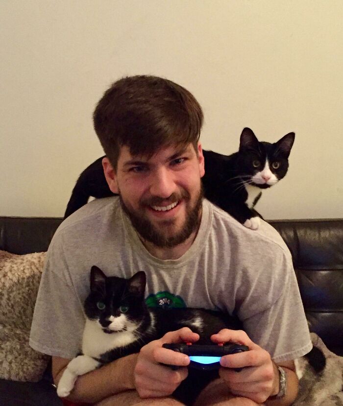 Double Trouble- A Shoulder Cat & A Lap Cat!