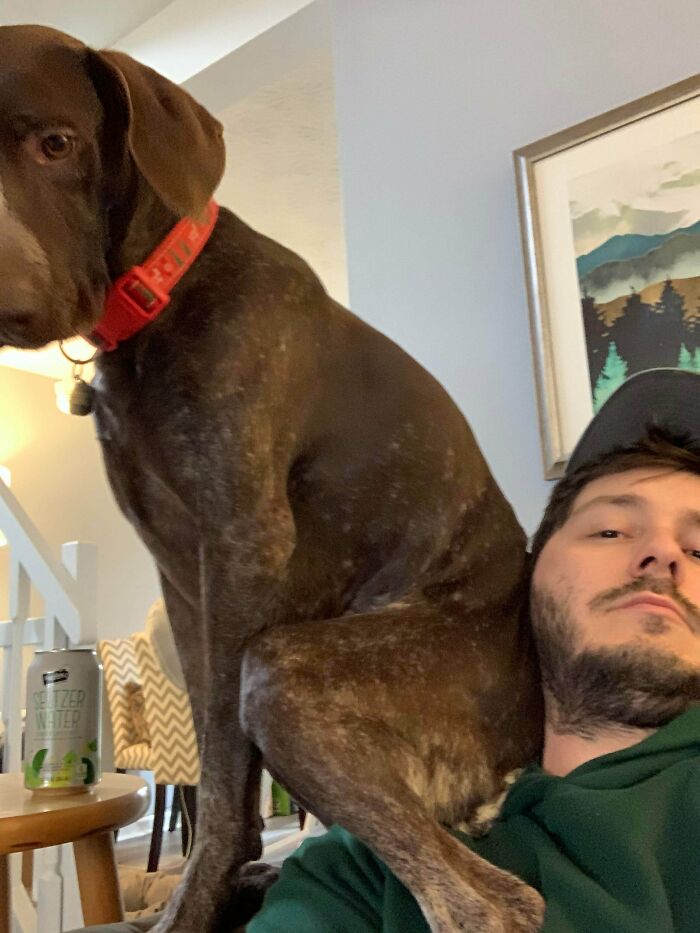 What Do Y’all Think About Dogs Who Think They’re Cats?