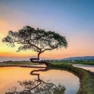 earthbound602 avatar