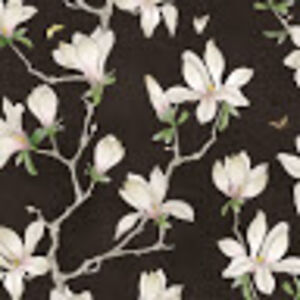 maverickloopstra avatar