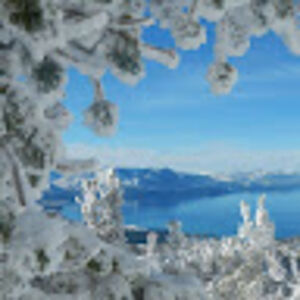 jenniferguerin avatar