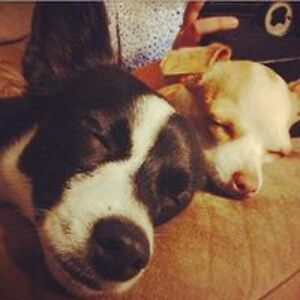 jessica_mymail avatar