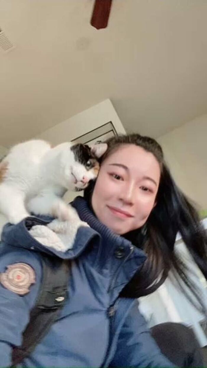 I Have An Aggressively Affectionate Cat