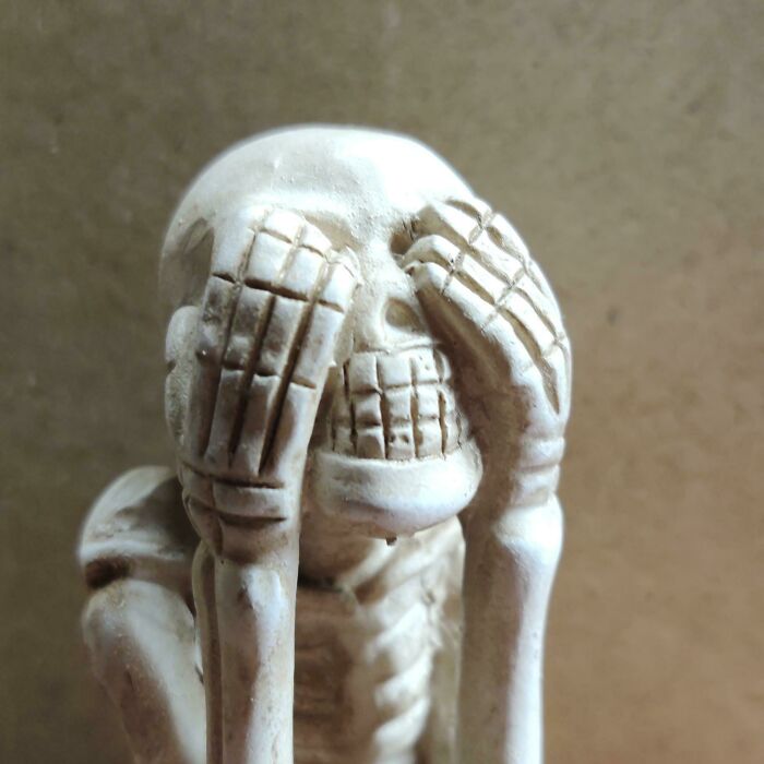 This Skeleton My Sister Bought