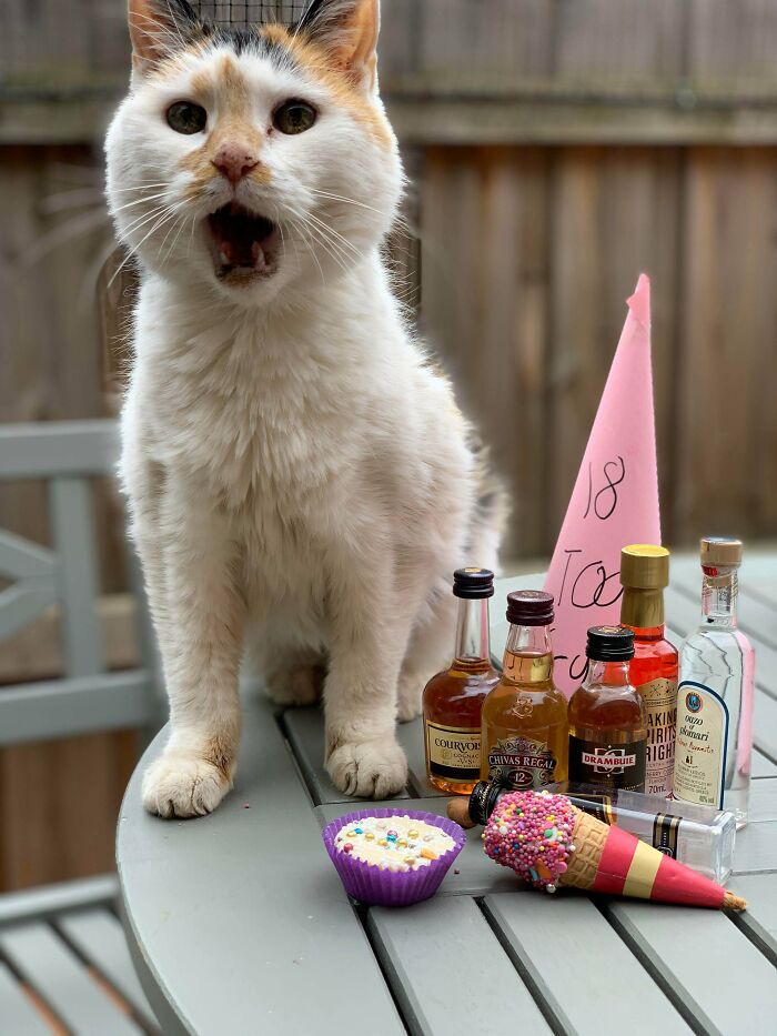 Happy 18th Birthday. Buffy Can Officially Legally Drink In Australia