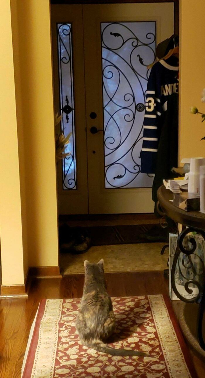 My BF Took This Picture 10 Minutes After I Left For Work