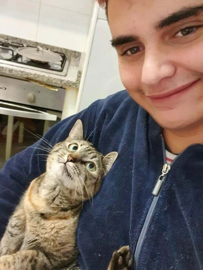 The Way The Cat Looks At Its Owner