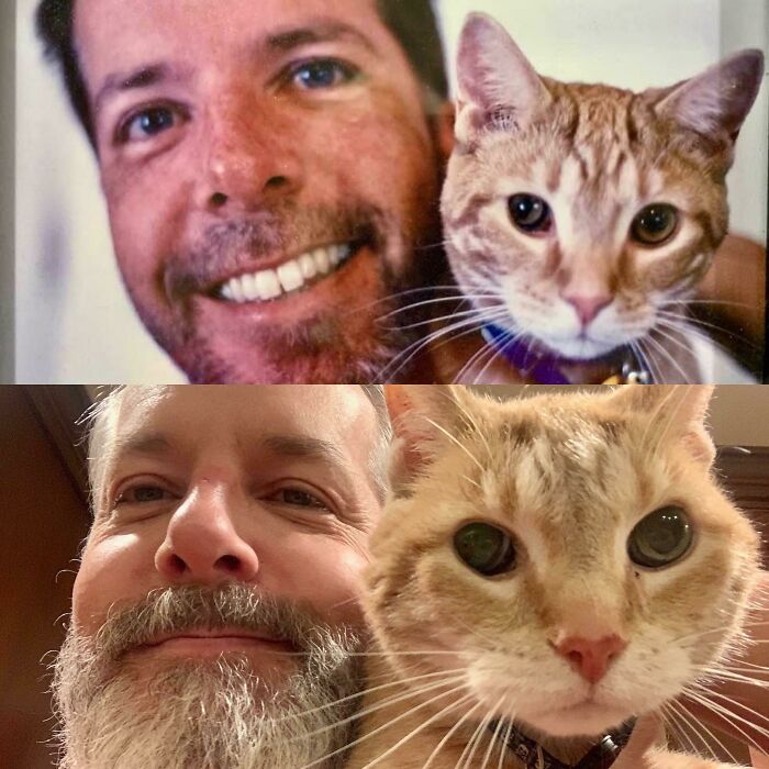 My Dad When He First Adopted My 1yo Blind Cat Cheddar, And Them Together On Cheddar’s 18th Birthday!